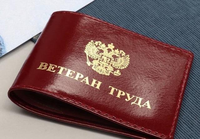 Меры социальной поддержки Ветеранам труда Челябинской области и Ветеранам труда